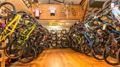 7 Unique Ideas for Bicycle Business